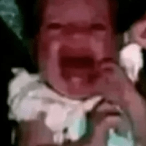 Figurinha de Memes & Reações para WhatsApp (10 de 20)