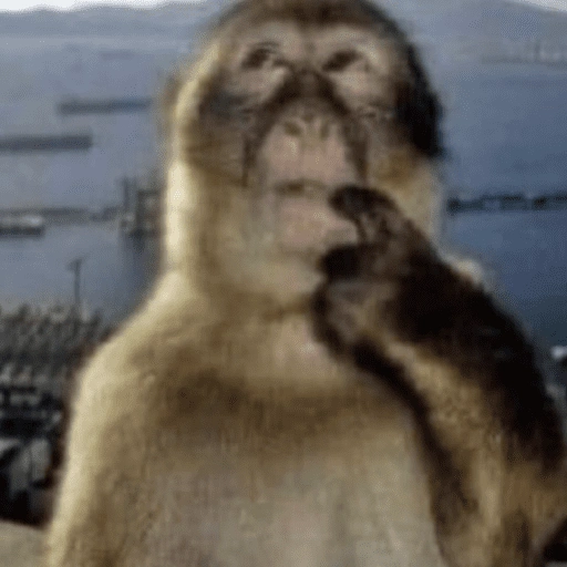 Figurinha de Memes Tiktok para WhatsApp (11 de 15)