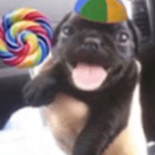 Figurinha de MEMES TIKTOK 😃 (2 de 15)