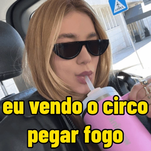 Figurinha de memes virginia fonseca (3 de 13)