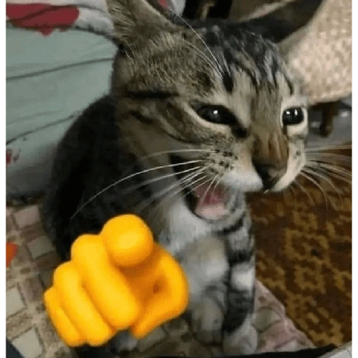 Figurinha de Michitos para enviar 😺💘🤭 (1 de 14)