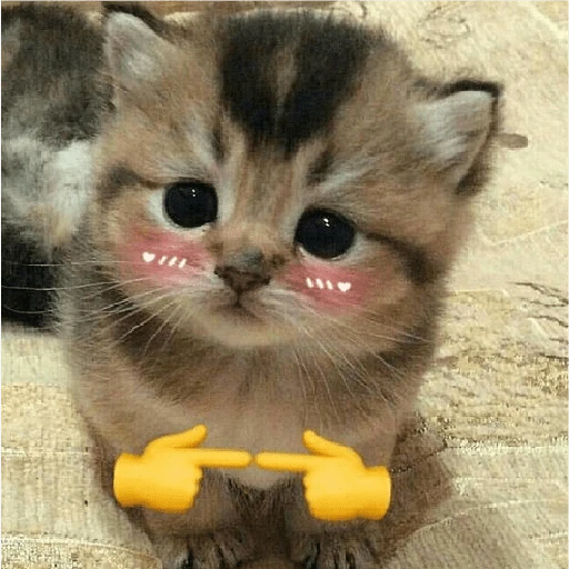 Figurinha de Michitos para enviar 😺💘🤭 (3 de 14)