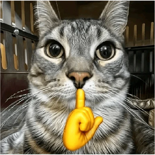 Figurinha de Michitos para enviar 😺💘🤭 (6 de 14)