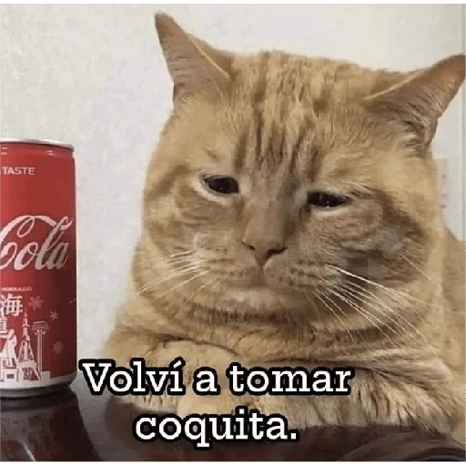 Figurinha de Michitos para enviar 😺💘🤭 (10 de 14)