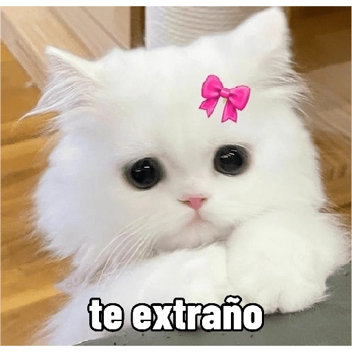Figurinha de Michitos para enviar 😺💘🤭 (11 de 14)