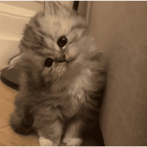 Figurinha de Michitos para enviar 😺💘🤭 (12 de 14)