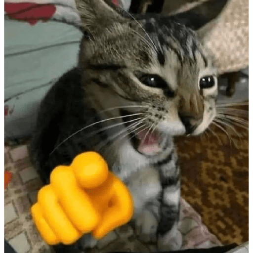 Figurinhas de Michitos para enviar 😺💘🤭 para WhatsApp