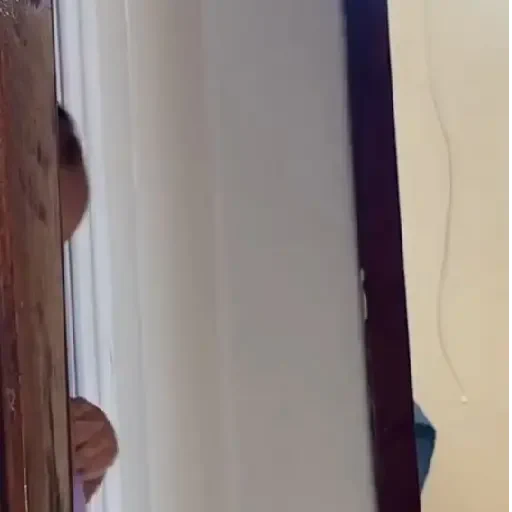 Figurinha de Mini divas pra reagir ✨️ para WhatsApp (7 de 16)