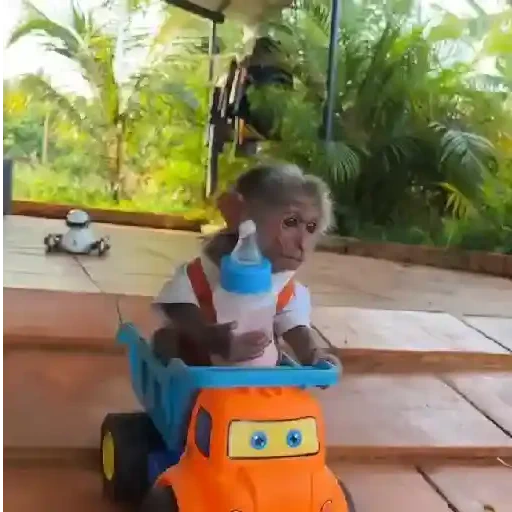 Figurinha de Monitos Mov (5 de 12)