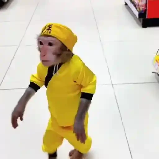 Figurinha de Monitos Mov (9 de 12)