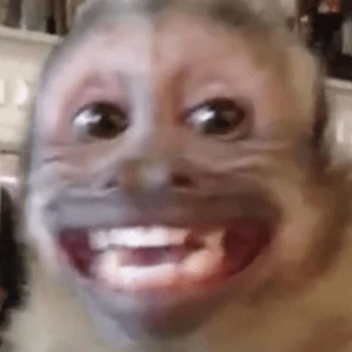 Figurinha de monkey | macaco 🐒 (6 de 17)
