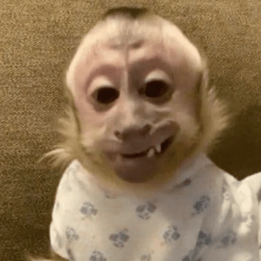Figurinha de monkey | macaco 🐒 (8 de 17)