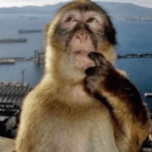 Figurinha de monkey | macaco 🐒 (10 de 17)