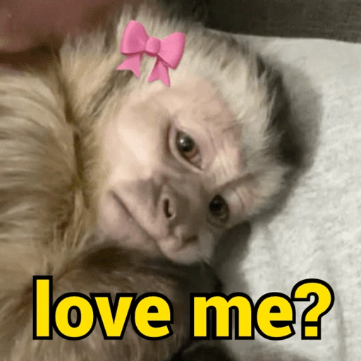 Figurinha de monkey | macaco 🐒 (11 de 17)