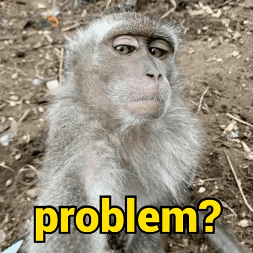 Figurinha de monkey | macaco 🐒 (13 de 17)