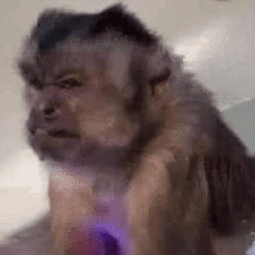 Figurinha de monkey | macaco 🐒 (14 de 17)