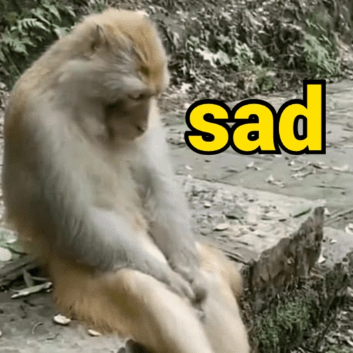 Figurinha de monkey | macaco 🐒 (15 de 17)