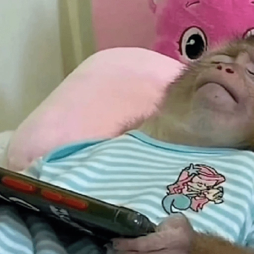 Figurinha de monkey para WhatsApp (4 de 12)