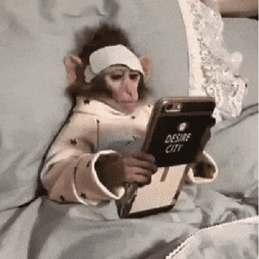 Figurinha de monkey para WhatsApp (6 de 12)