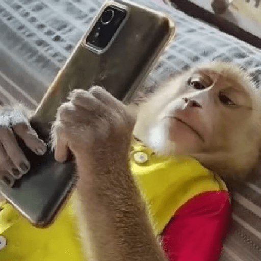 Figurinhas de monkey para WhatsApp