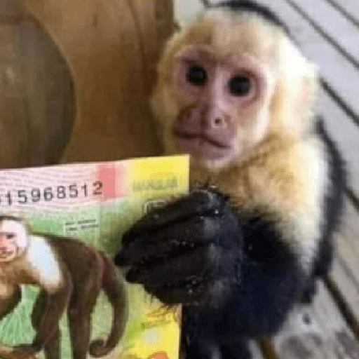 Figurinha de 🍌 🐒 Monos Monitos🐒🍌 (1 de 19)