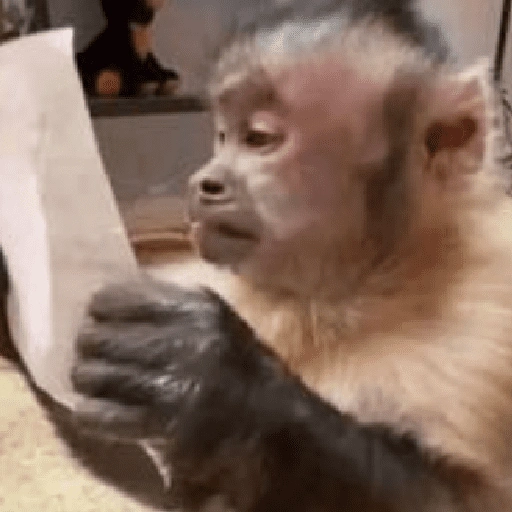 Figurinha de 🍌 🐒 Monos Monitos🐒🍌 (5 de 19)
