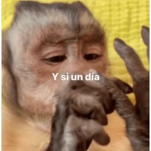 Figurinha de 🍌 🐒 Monos Monitos🐒🍌 (6 de 19)
