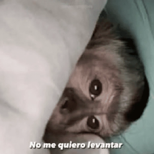 Figurinha de 🍌 🐒 Monos Monitos🐒🍌 (9 de 19)