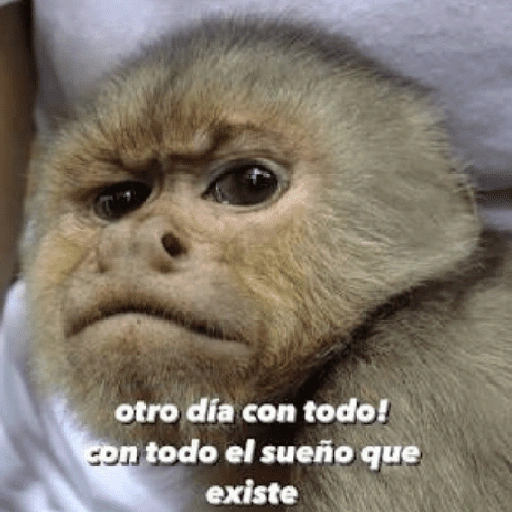 Figurinha de 🍌 🐒 Monos Monitos🐒🍌 (10 de 19)