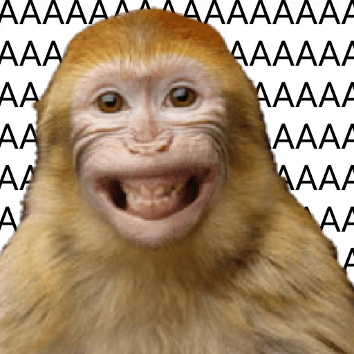 Figurinha de 🍌 🐒 Monos Monitos🐒🍌 (17 de 19)