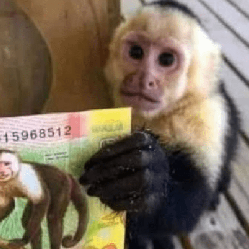 Figurinhas de 🍌 🐒 Monos Monitos🐒🍌 para WhatsApp