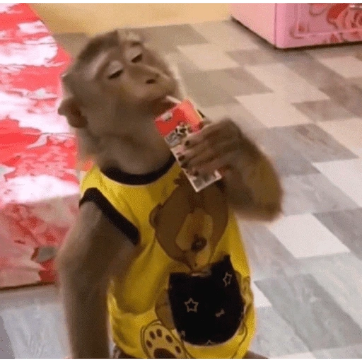 Figurinha de monos (5 de 10)