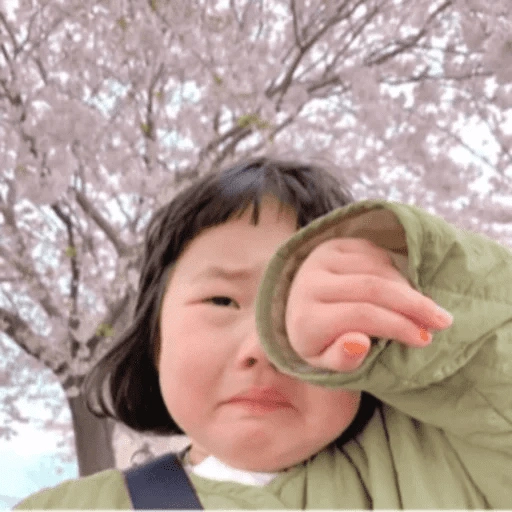 Figurinha de Mood de bebes #2 😂 para WhatsApp (13 de 28)