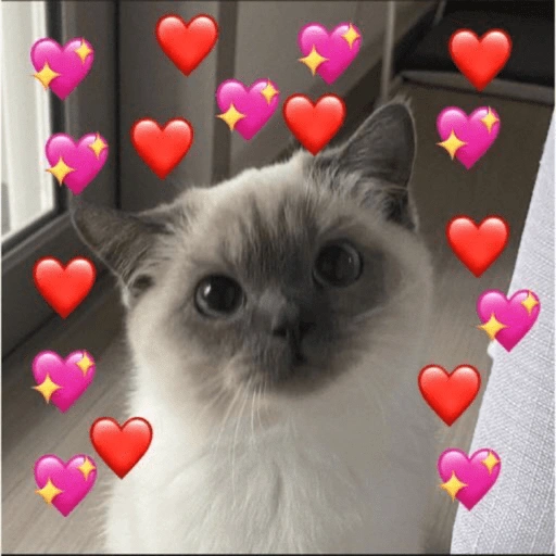 Figurinha de MUITO AMOR 😍❤️ para WhatsApp (11 de 15)