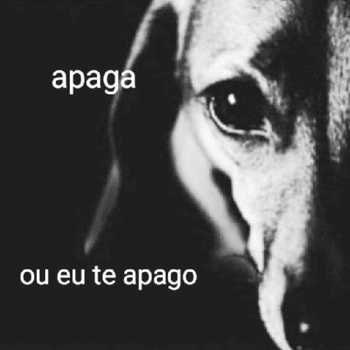 Figurinha de NÃO GRITA 🤫 para WhatsApp (1 de 29)