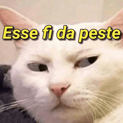 Figurinha de não vou ler muito grande para WhatsApp (9 de 15)
