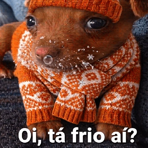 Figurinha de OI POSSO FALA? para WhatsApp (3 de 23)