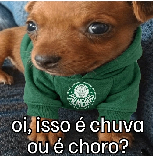 Figurinha de OI POSSO FALA? para WhatsApp (7 de 23)