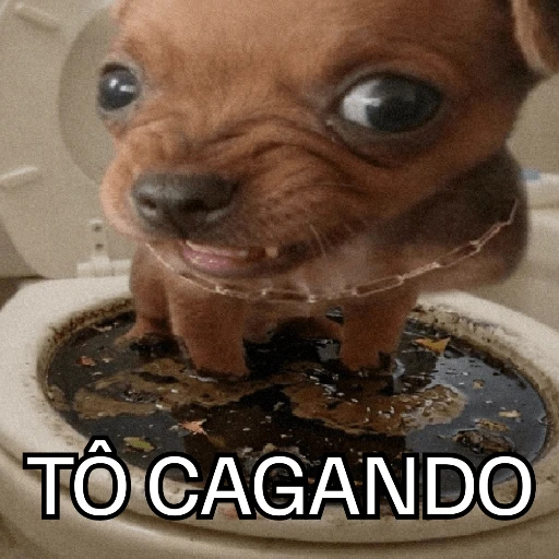 Figurinha de OI POSSO FALA? para WhatsApp (14 de 23)