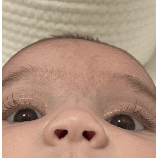 Figurinha de Os mais fofos 🥰 para WhatsApp (7 de 15)