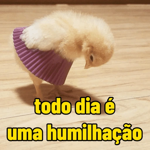 Figurinha de pack de variedades ✨ para WhatsApp (13 de 16)