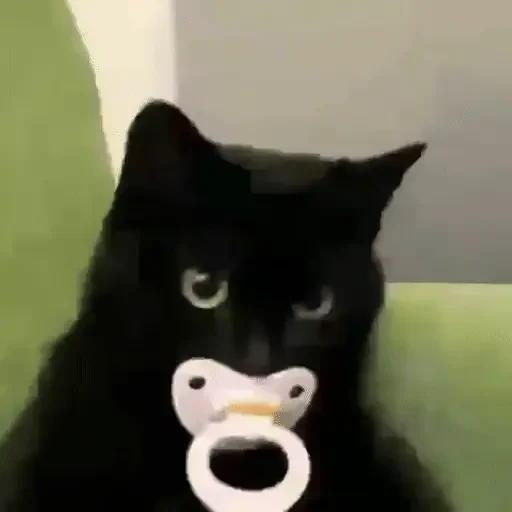 Figurinha de ցɑԵíԵօՏ 🐈🐈‍⬛ para WhatsApp (19 de 20)