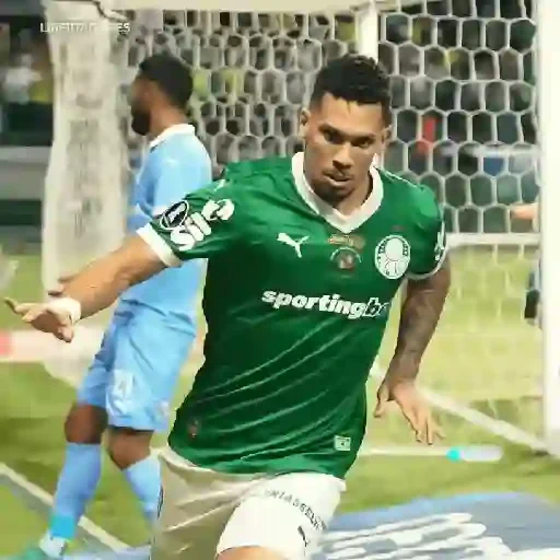 Figurinha de Paulinho × Palmeiras (4 de 20)