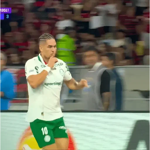 Figurinha de Paulinho × Palmeiras (5 de 20)