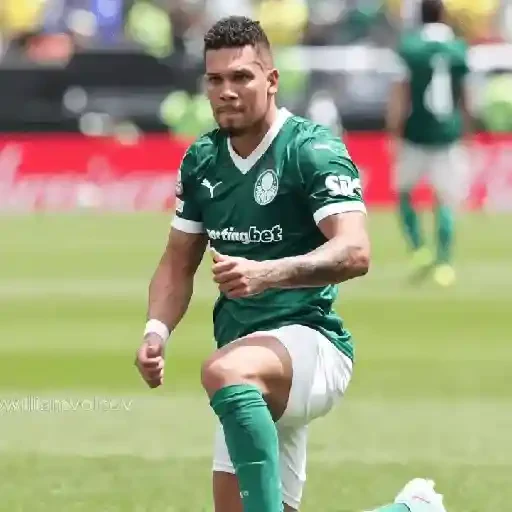 Figurinha de Paulinho × Palmeiras (6 de 20)