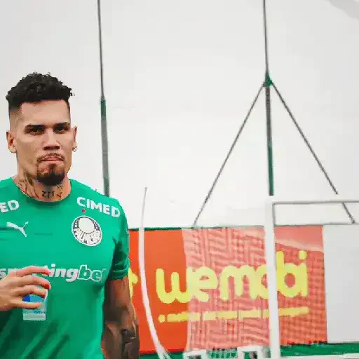 Figurinha de Paulinho × Palmeiras (9 de 20)