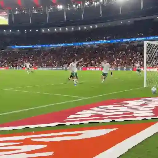 Figurinha de Paulinho × Palmeiras (12 de 20)