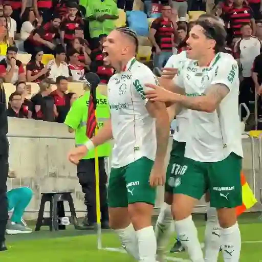 Figurinha de Paulinho × Palmeiras (13 de 20)