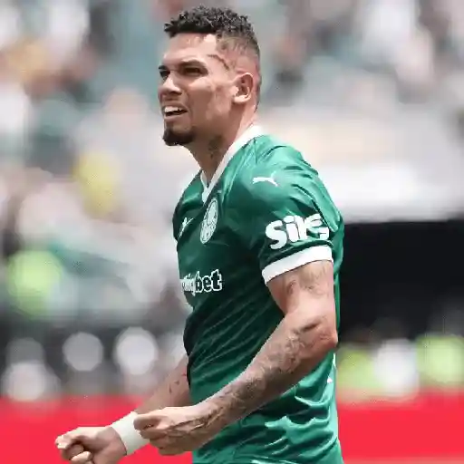 Figurinhas de Paulinho × Palmeiras para WhatsApp