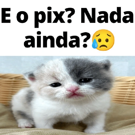 Figurinha de Pix para WhatsApp (2 de 9)